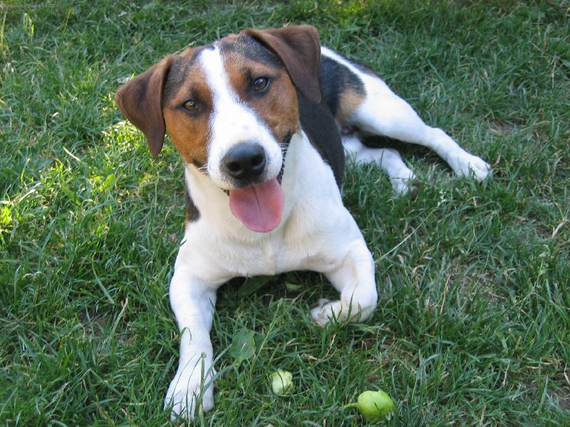 Foto: Rad fotim-Hugo