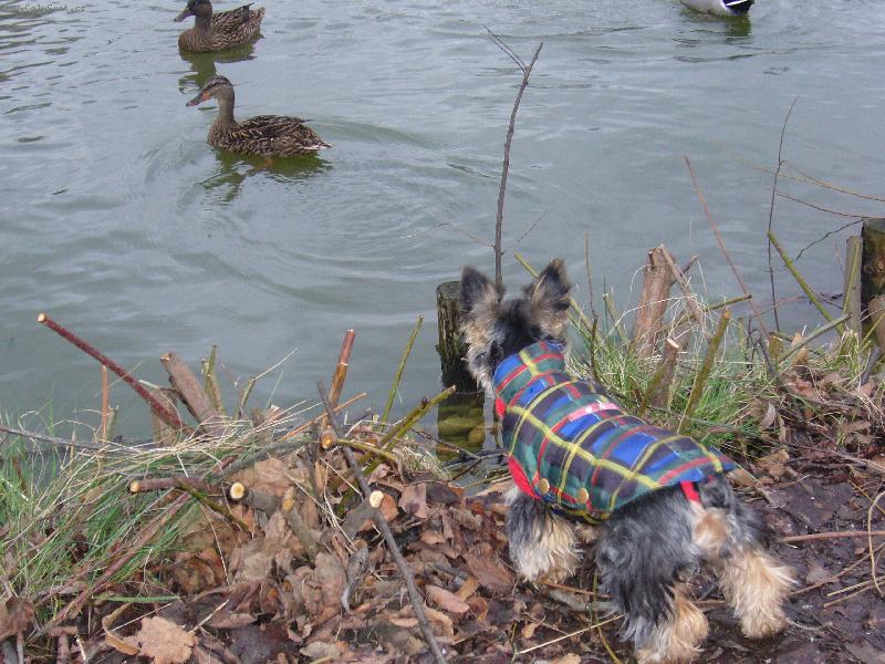 Foto: kdybych na vas mohla tak bych s vama pekne zatocila!!! :-))