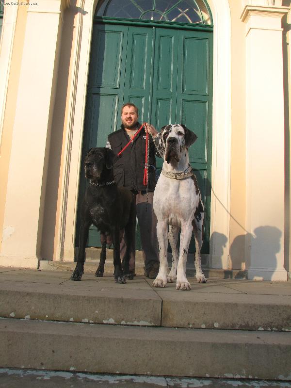 Foto: Yris Regia Uttis a Bonaparte Regia Uttis-M�ma a t�ta �t���tek vrh\"C\"