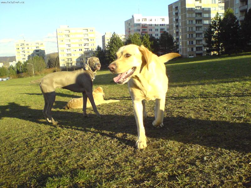 Foto: B�ra-B�ra na v�b�hu  2.3.2007