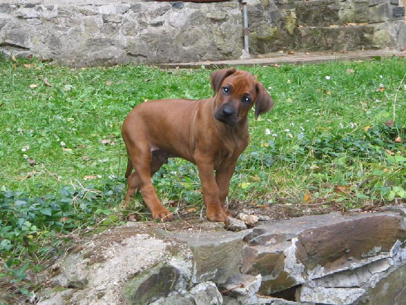 Foto: co to vidim??-bartik