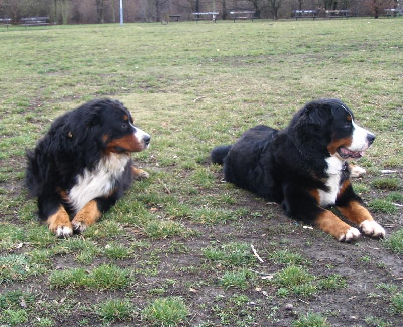 Foto: mu�ket��i na Kav��ch hor�ch-At z Labsk�ho z�ti�� a Astor Polepsk� �dol�