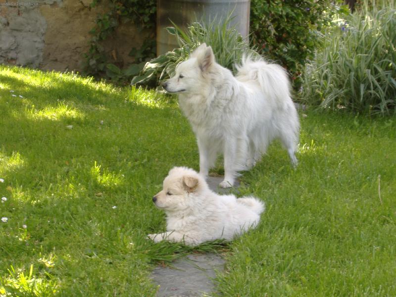 Foto: Ketka s nero�kem