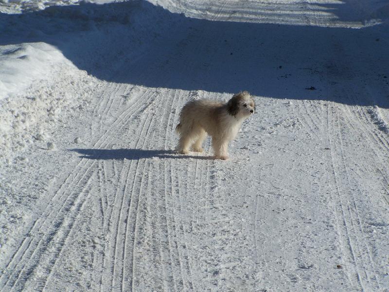 Foto: Goldinka-...a takhle venku...