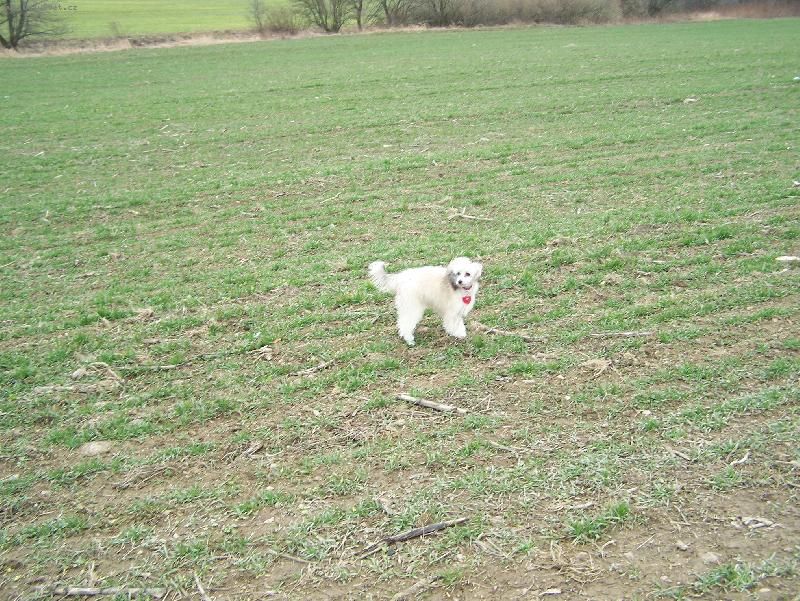 Foto: Goldinka-...a tady u� bylo teplo :o)