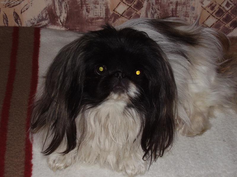 Foto: Na�e Megynka