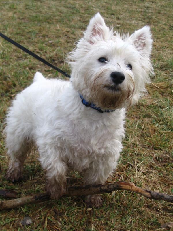 Foto: Erik Coloris Nova-na hor�ch, kdy� nen� sn�h