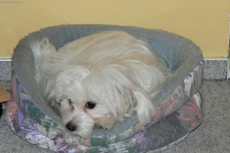 Foto: KIMI-zaslou�en� odpo�inek