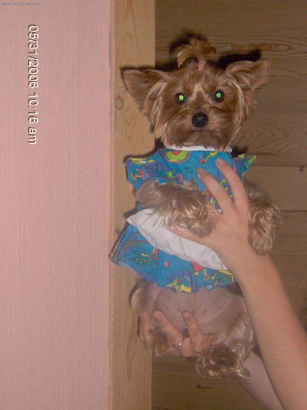 Foto: Tak a m��eme se pustit do v�no�n�ho �klidu:o\\)