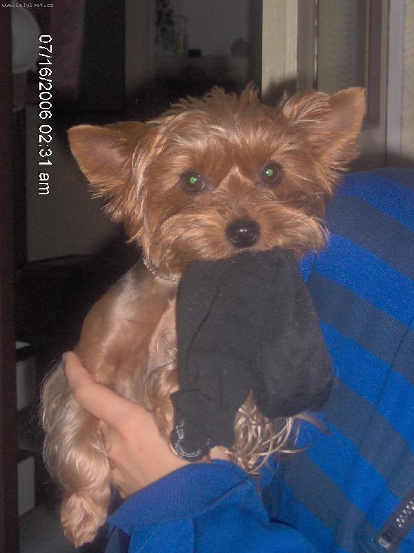 Foto: Zd� se, �e tahle pono�ka nen� ur�it� moje