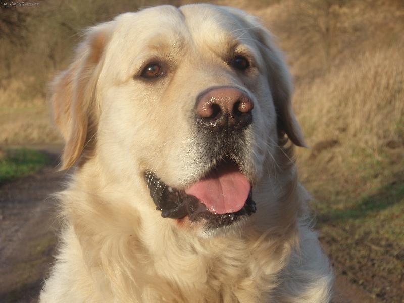 Foto: j� portr�t\\.\\.\\.\\.\\.-\\(ale fotim se nerad\\)