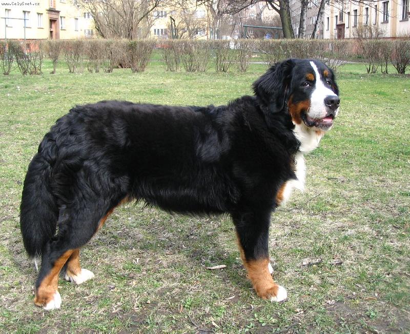 Foto: Je�t� mal� nebo u� velk�\\?-Astor Polepsk� �dol� 9 m�s�c�