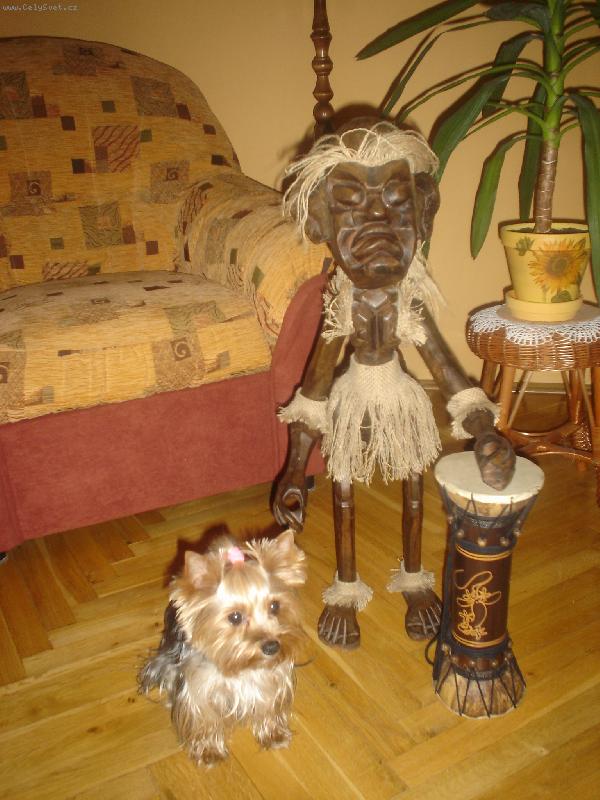 Foto: Ami a kamar�d