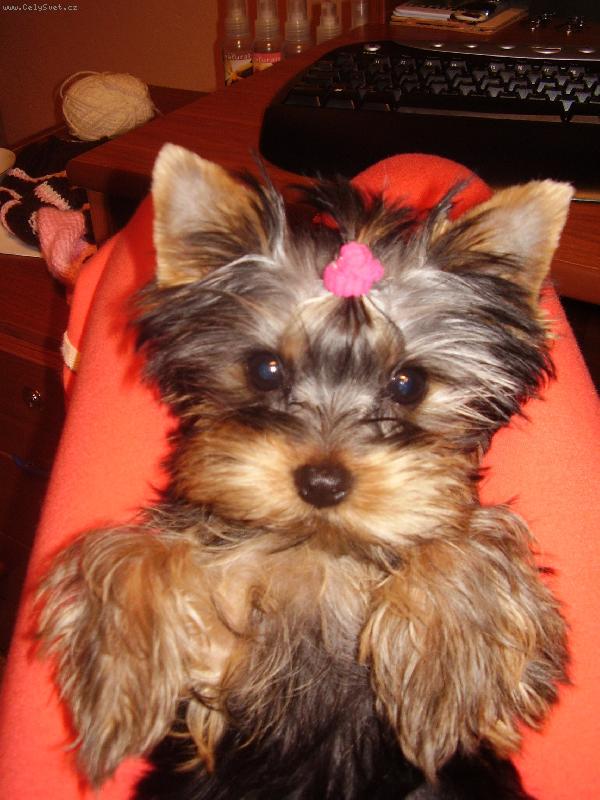 Foto: Daisynka-p�i �prav� sv�ho zevn�j�ku =\\)