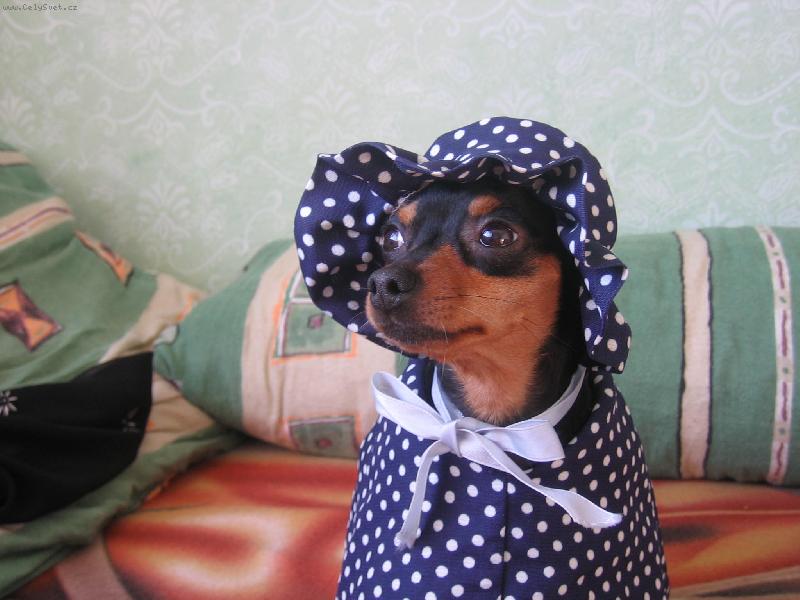 Foto: Fild�k tranvestita