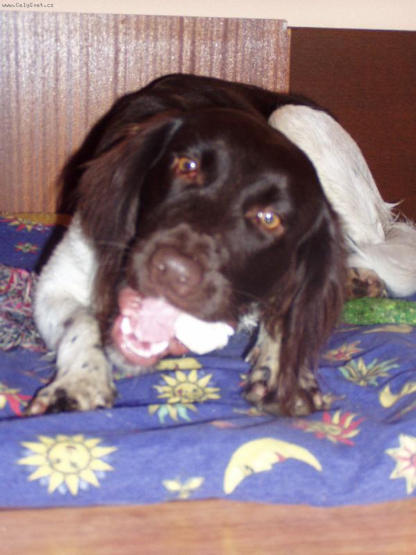 Foto: Hera\\.\\.\\.10 m�s�c�