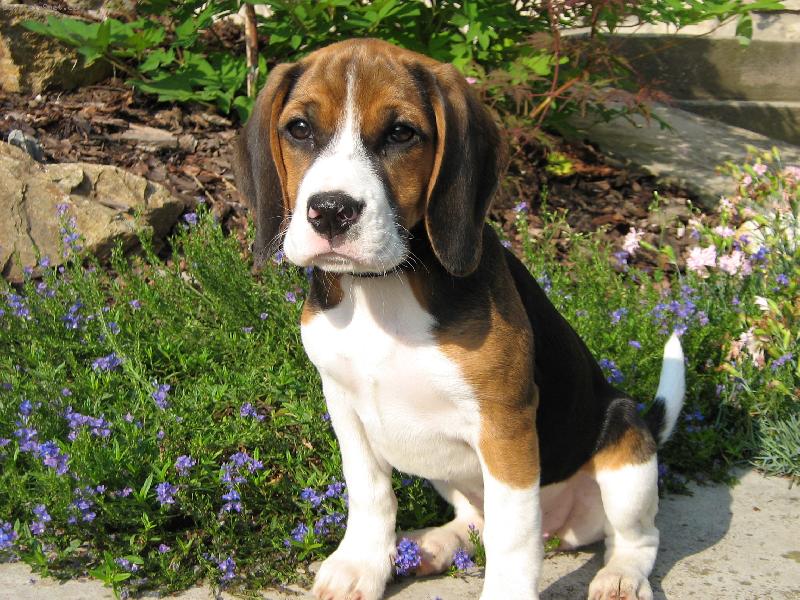 Foto: Bonny-Po rann�m probuzen�\\. Sorry m�m je�t� ospalky