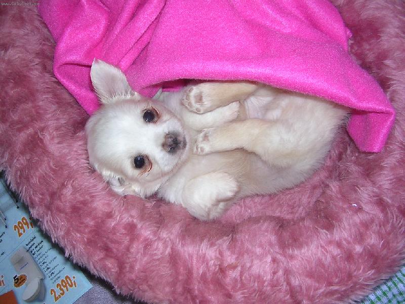 Foto: Gucci-Na�e �ivav� miminko - Gucci