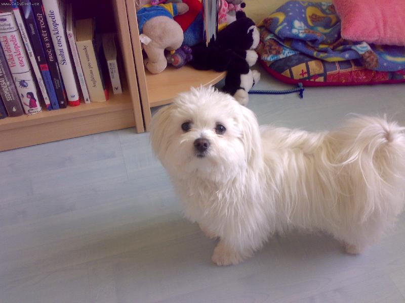 Foto: N� mil��ek Sindynka