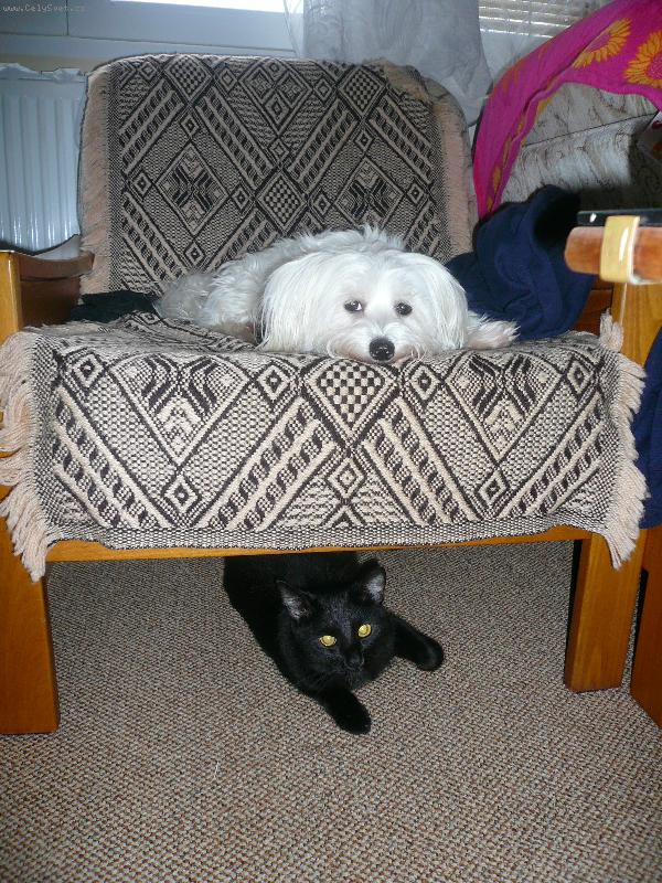 Foto: Ari a Basty-Tady po ven�en� Ar�a ulehla a Bast�k �el spinkat pod n� asi j� hl�dal,  aby mu znova neode�la ven..?!