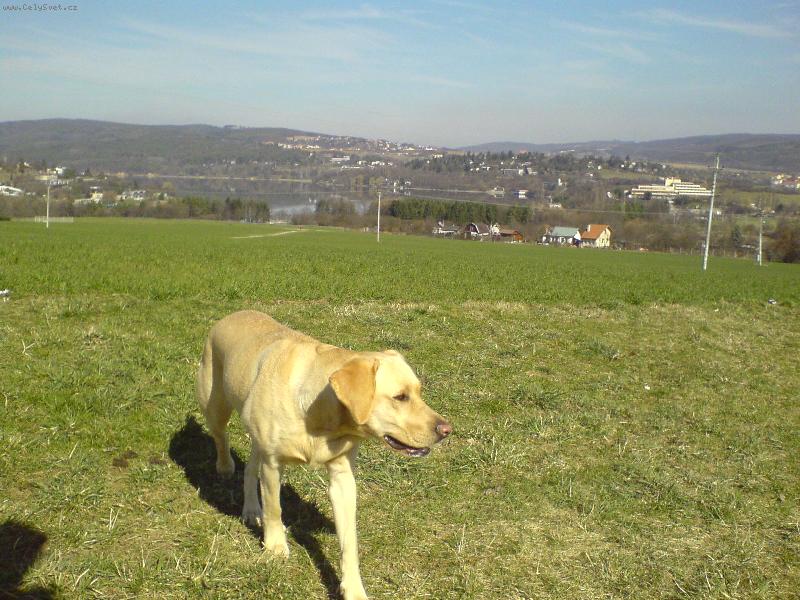 Foto: velk� v�b�h v Bystrci-Brn�nsk� p�ehrada 12.3.2007 v 11.00