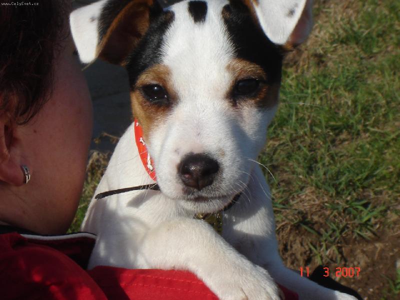 Foto: Agnes-U� jsem povyrostla. A taky u� skoro poslouch�m.