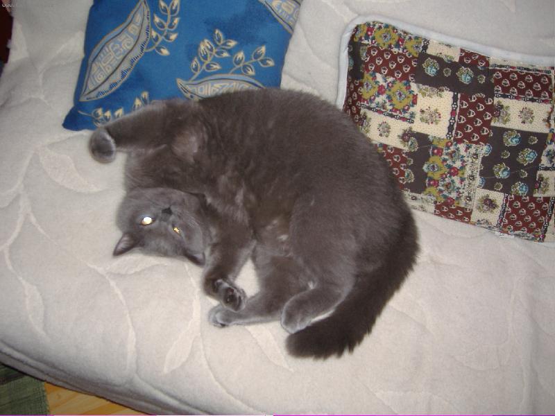 Foto: Bri��k-Osk�rek