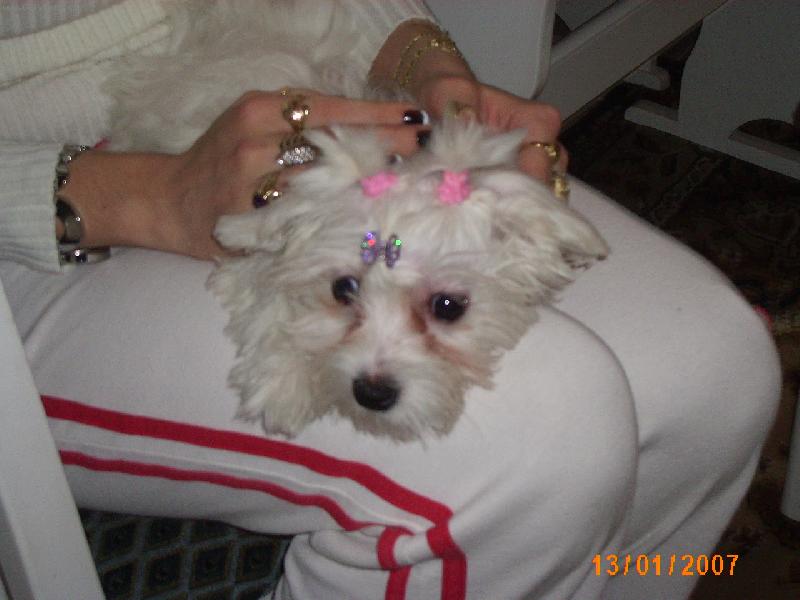 Foto: Aishinka-za 9 dn� mi budou 3 m�s�ce a u� m�m 2 cul��ky