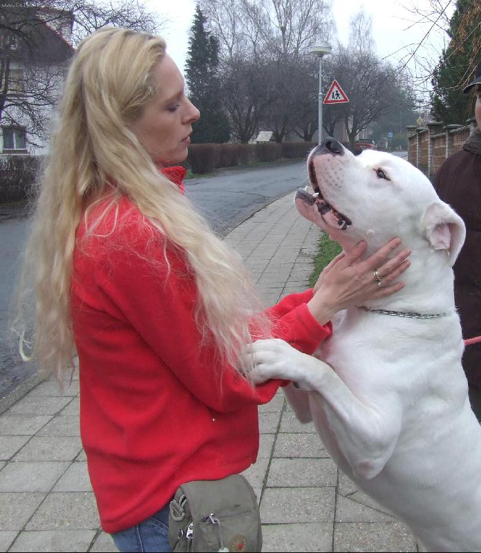 Foto: Arando Charismatic-Kr�sn� setk�n� s Arandem, na��m odchovancem