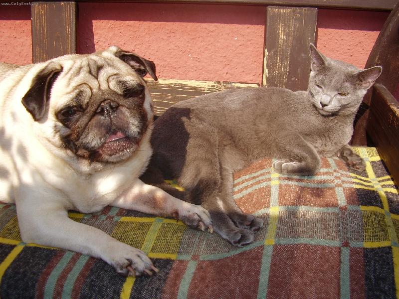 Foto: Na�e slun��ka se SLUN�!!!-Lentilka a Filinka :-)