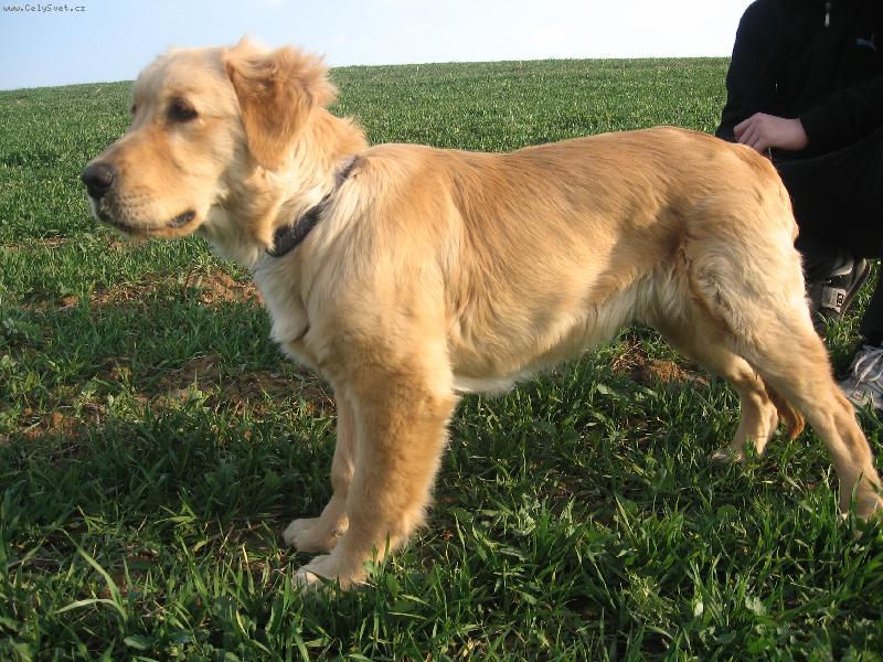 Foto: N� 5tim�s��n� fe��k Jerry:)