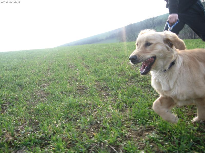 Foto: N� 5tim�s��n� fe��k Jerry:)