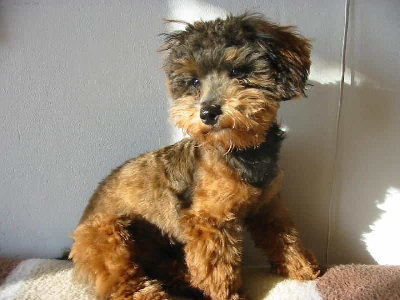 Foto: Rony od kade�n�ka