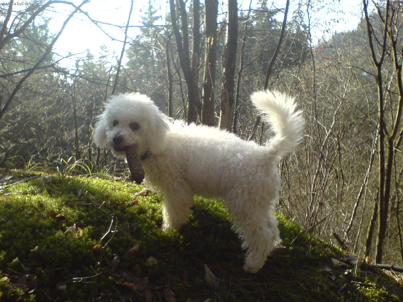 Foto: Danny-to m�m ale velkou �i�ku :o)