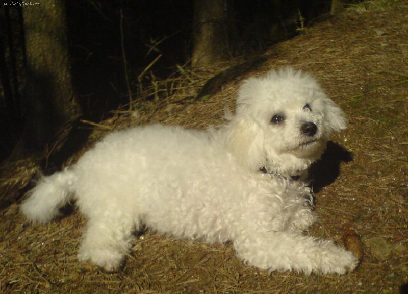 Foto: Danny-to mi tro�ku sv�tilo do o��:o)