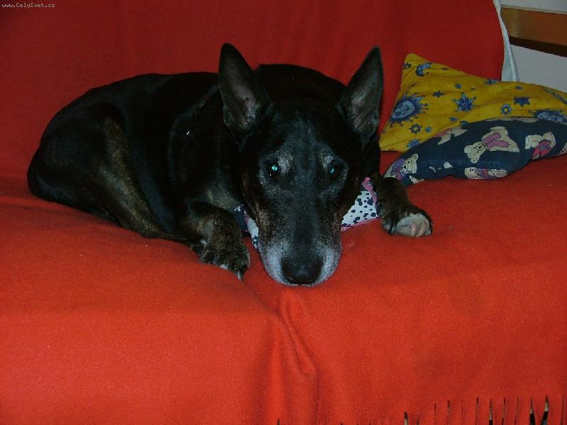 Foto: na pol�t��i je to nejlep��-12 let Kessi