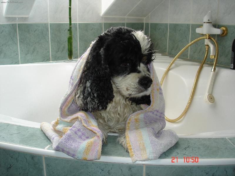 Foto: julieta princes pamaco-koupa�ka