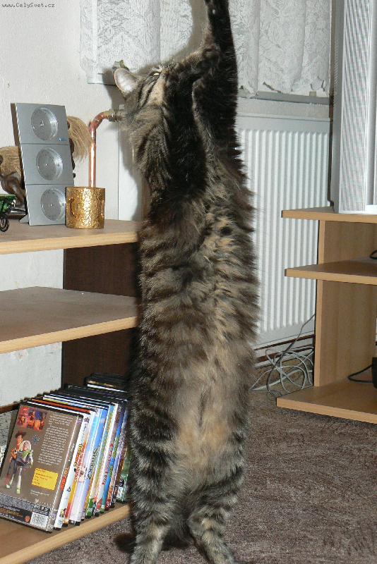 Foto: Sailinka-takhle vypad� nata�en� mainka :o)