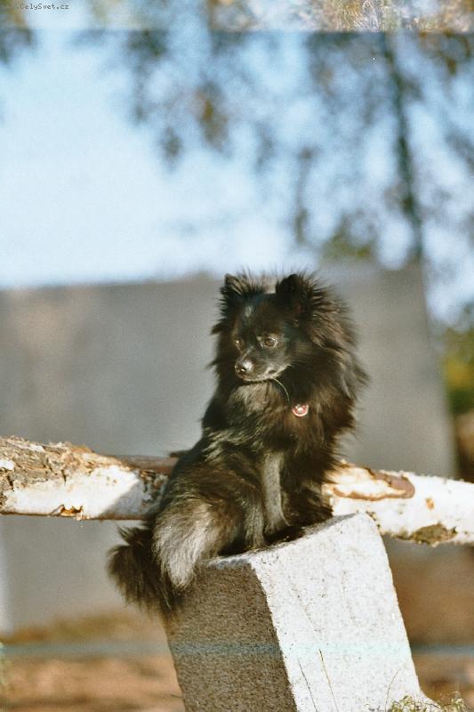 Foto: Pauline Izet Lukato Gold-www.psi.mysteria.cz