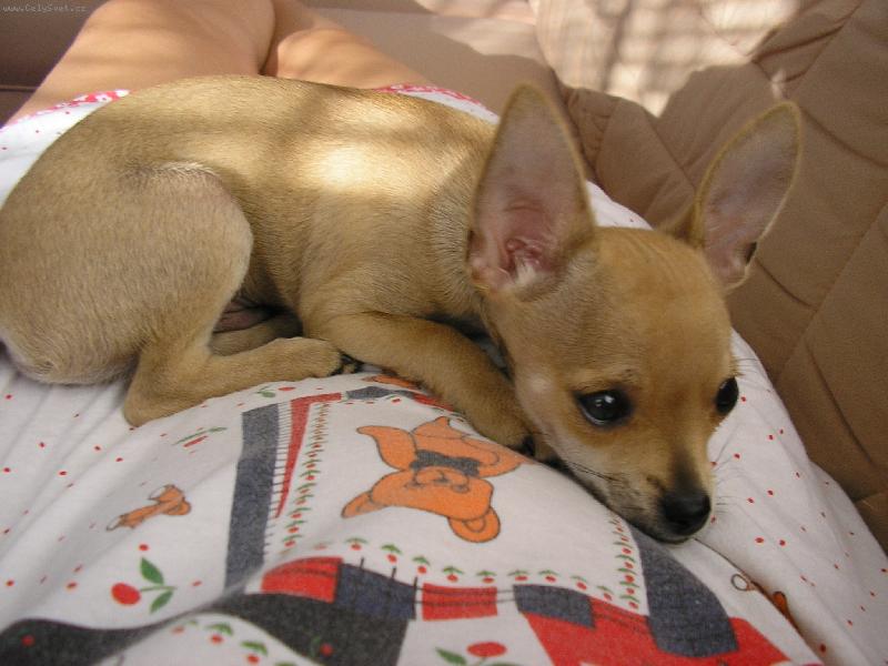 Foto: tady se tak fajn le��