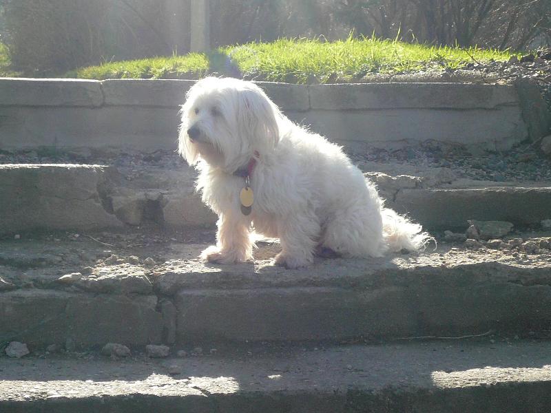 Foto: Venku-Ar�a venku nas�v� �ist� vzduch