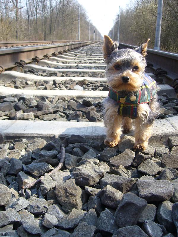Foto: nohama stiram rosu na kolejich.