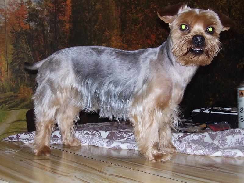 Foto: ry��i-to je ten n�