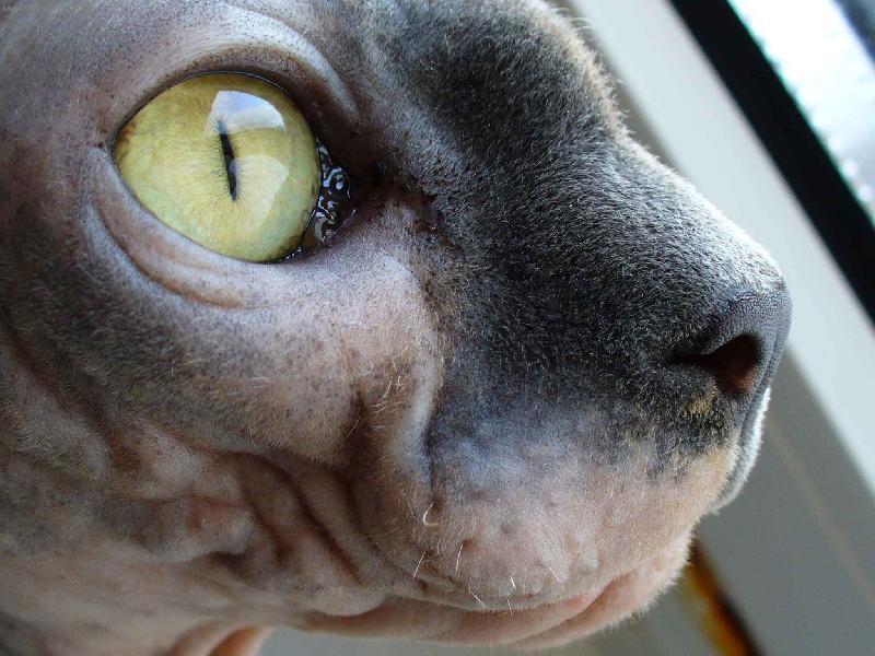 Foto: Pomn�nka-Na�e zlobidlo...