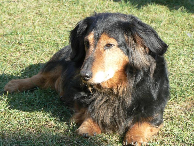 Foto: OSK�REK 10 ROK�-OSK�REK 10 ROK�