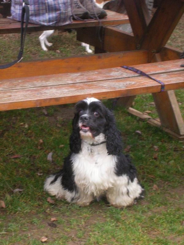 Foto: Terry-nej mazel na sv�t�!!!!