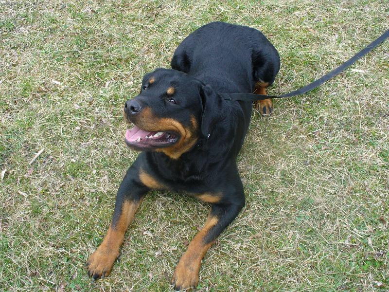 Foto: Butk�sek-To jsem fe��k,co?! :-)