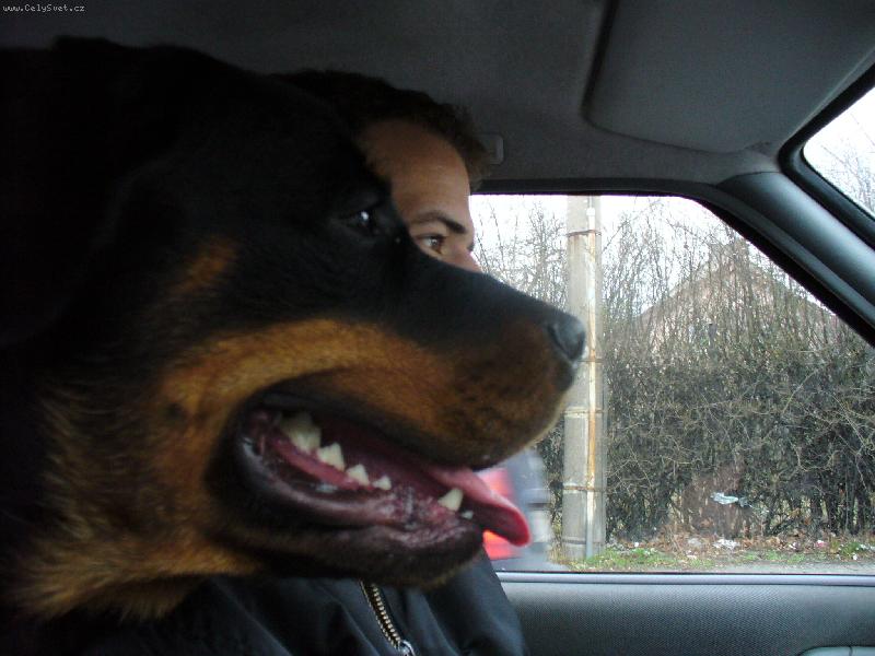 Foto: Butk�sek-To je n� mal� �idi�!!!