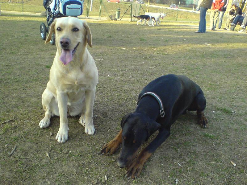 Foto: B�ra a Wolf-Wolfe lehni,jinak by jsi se neve�el na fotku..