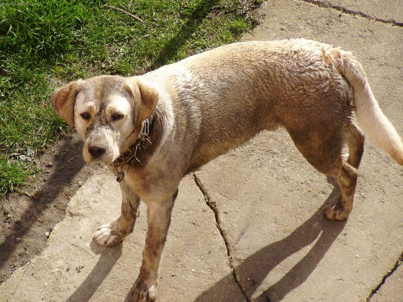 Foto: Bad�k-Trochu jsem se vyv�lel v oranici